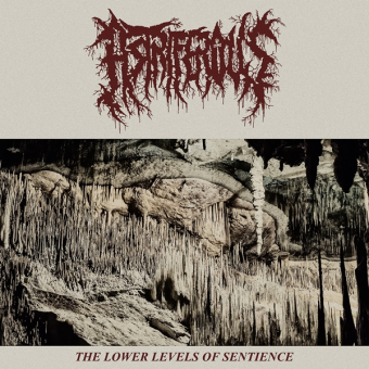 ASTRIFEROUS The Lower Levels Of Sentience [CD]